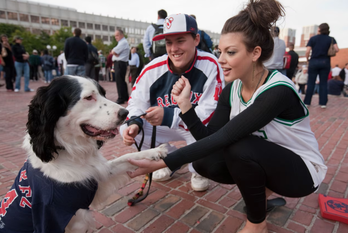 How Your Pet Could Be Shaping Your Love Life β What Science Actually Says rth
